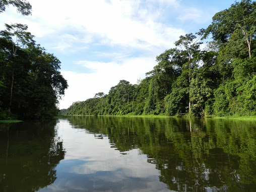 tortuguero